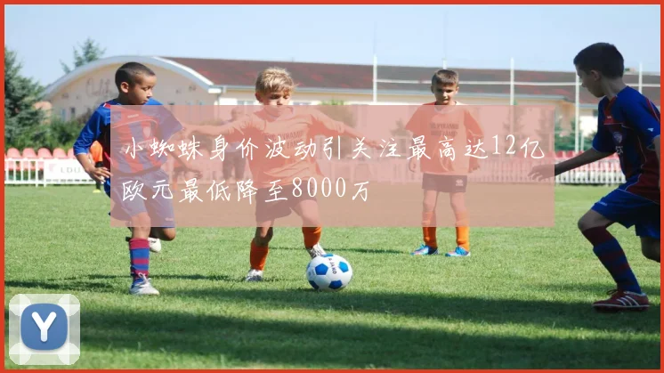 小蜘蛛身价波动引关注最高达12亿欧元最低降至8000万