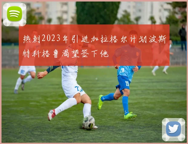 热刺2023年引进加拉格尔计划波斯特科格鲁渴望签下他